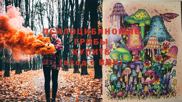 mix Абаза