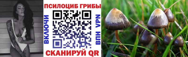 Псилоцибиновые грибы прущие грибы  Кораблино 